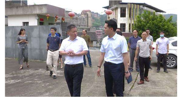 郑县长一行莅临开yun体育app官网入口登录网页版指导调研